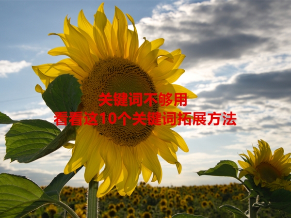 關(guān)鍵詞不夠用，看看這10個關(guān)鍵詞拓展方法！